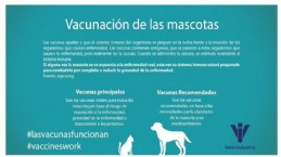 Infografa Vacunacin Mascotas