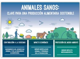 Animales sanos: Clave para una produccin alimentaria sostenible
