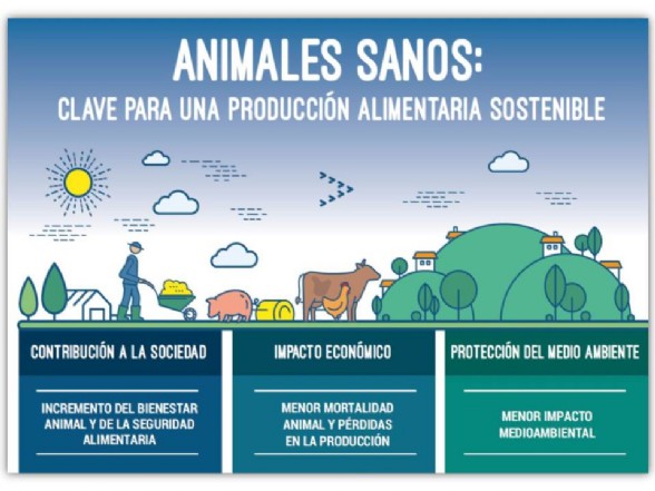 Animales Sanos: Clave para una produccin alimentaria sostenible