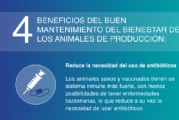 Beneficios mantenimiento bienestar animales produccin 1