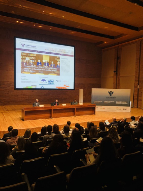 Form Tcnico 2019 - foto 2