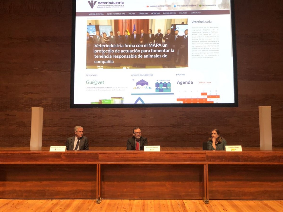 Form Tcnico 2019 - foto 6