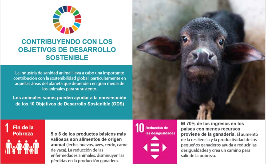 Desarrollo sostenible