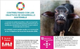 Desarrollo sostenible