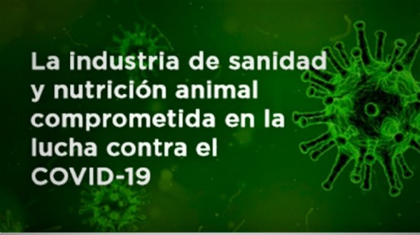 COVID-19