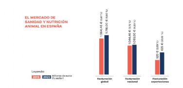 Cifras Macroeconmicas Sector 2020