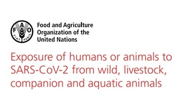 Logo FAO