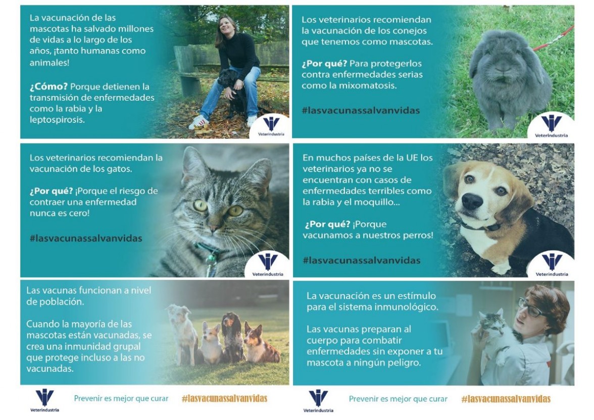 Infografia 2