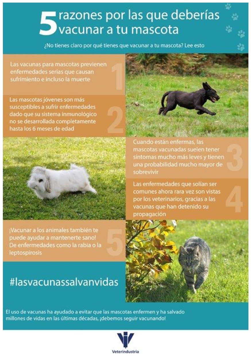 Acceso Infografa