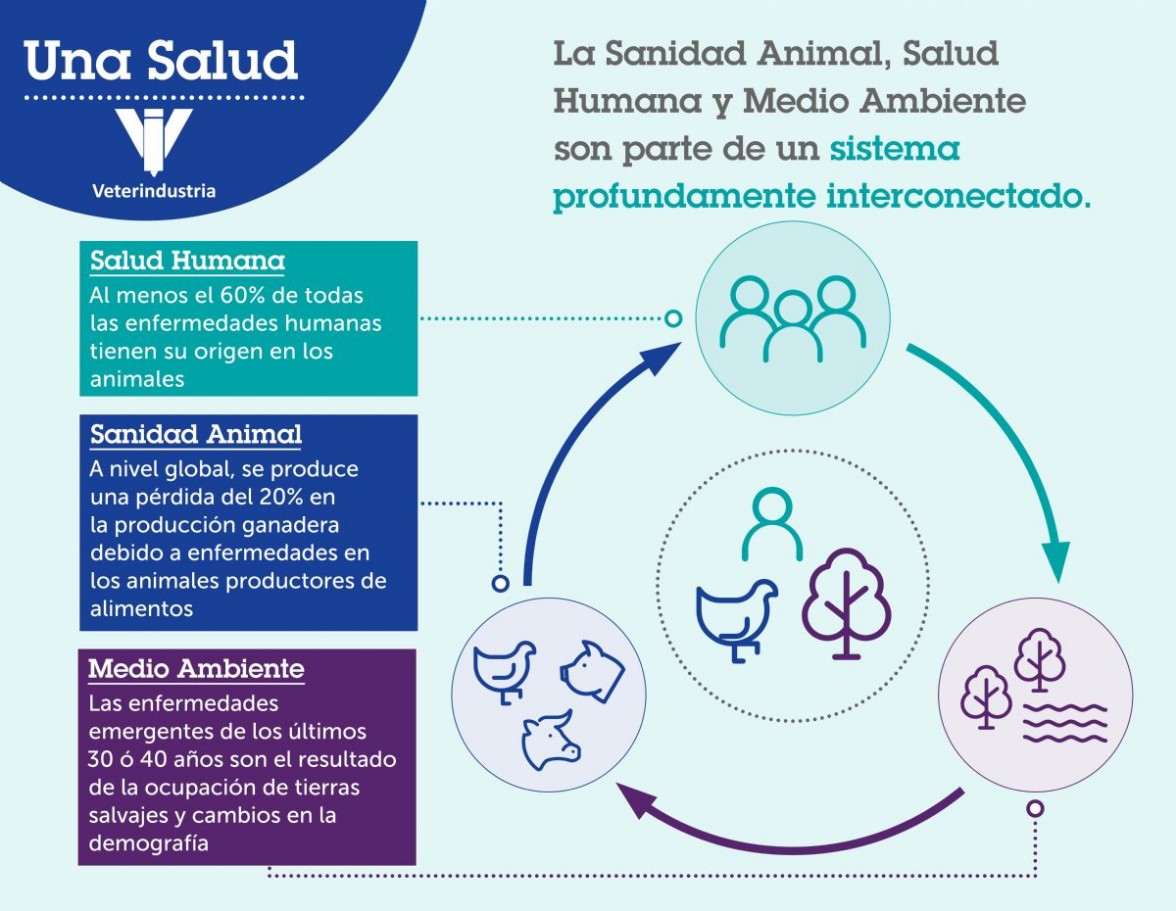 Infografa Una Salud