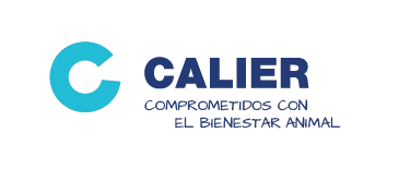 Calier