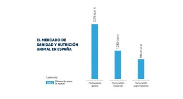 Mercado Global 2024