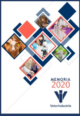 Portada Memoria 2020