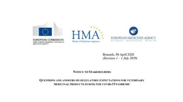 Documento Comisin Europea