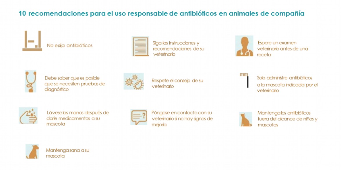 Recomendaciones Uso Responsable Antibiticos en animales de compaa