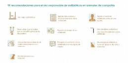 Recomendaciones Uso Responsable Antibiticos en animales de compaa
