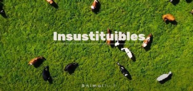 Animal hub: Importancia de los veterinarios para la sociedad