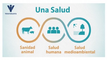 Infografa: Una Salud