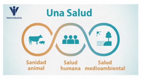 Infografa: Una Salud