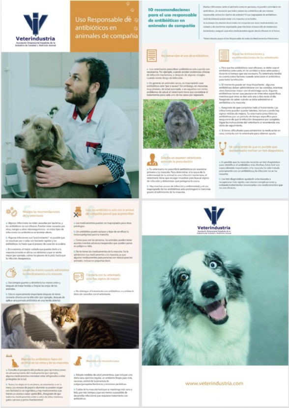 Uso Responsable de Antibiticos en Animales de Compaa