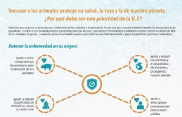 Infografa sobre vacunacin