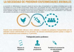Documento posicin vacunas