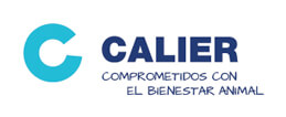 Calier