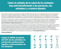 Imagen Infografa