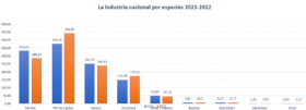 grafico