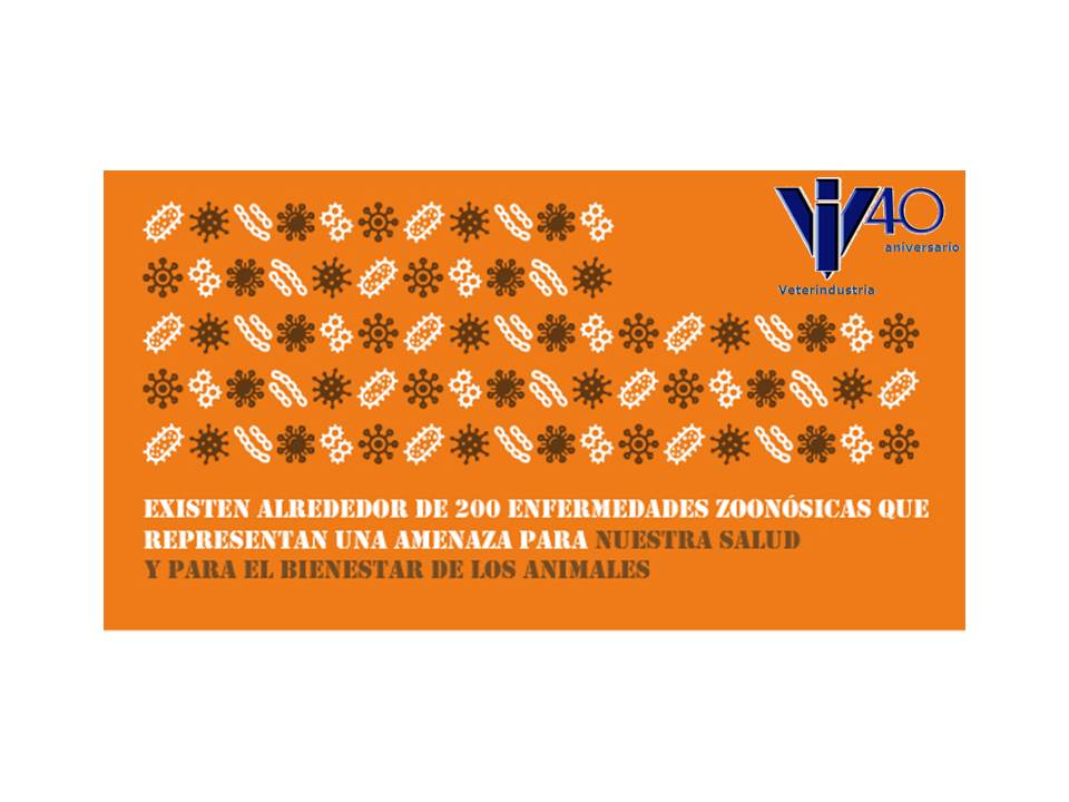 infografia 3