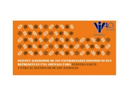 infografia 3