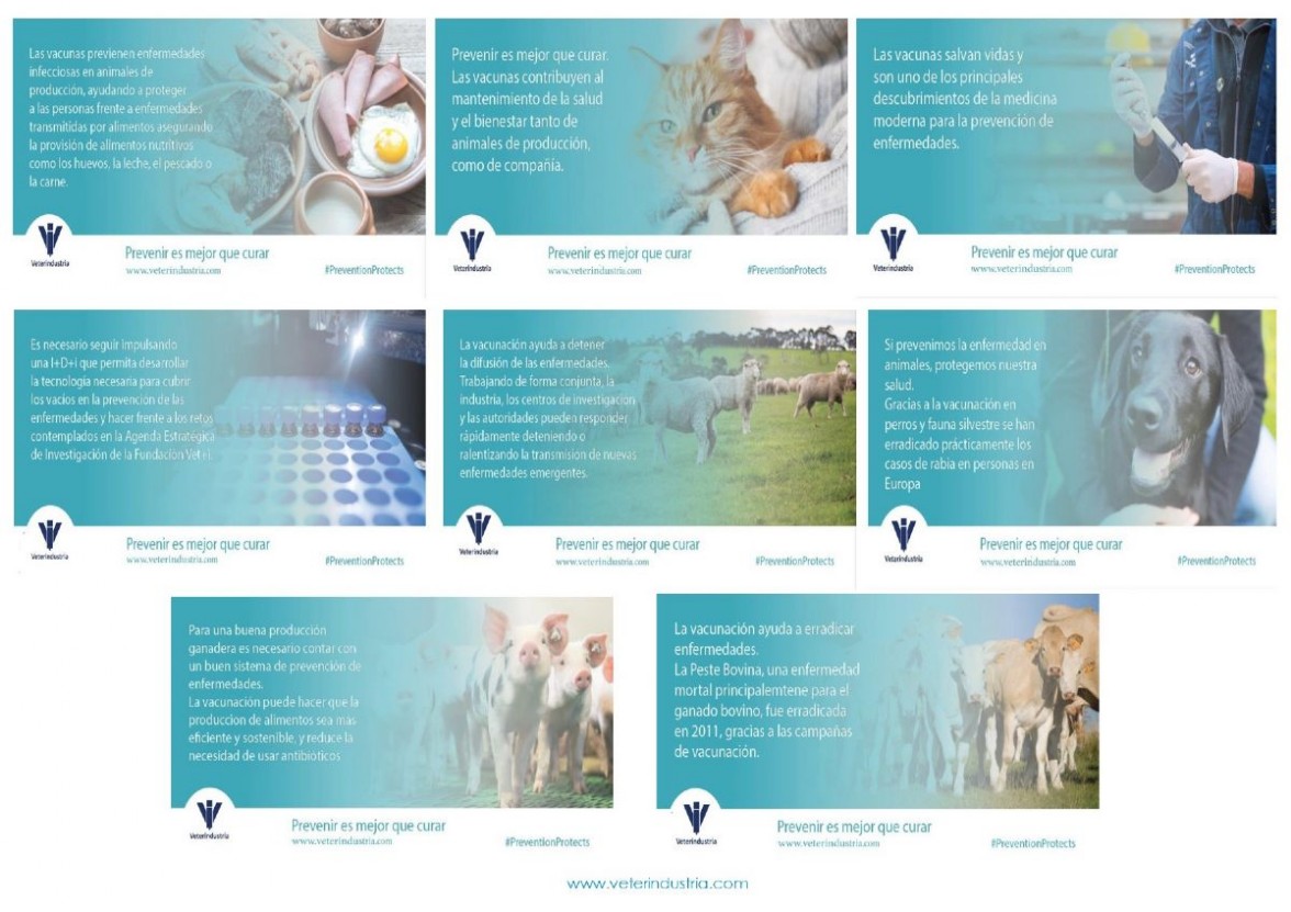 Infografa 3