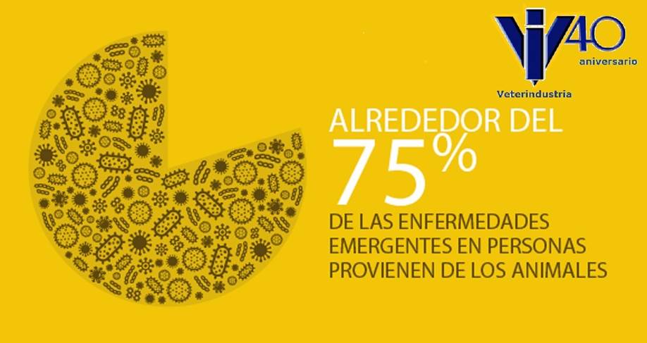 infografia2