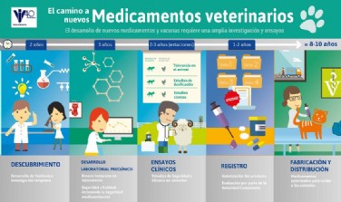 Camino a nuevos Med. Veterinarios
