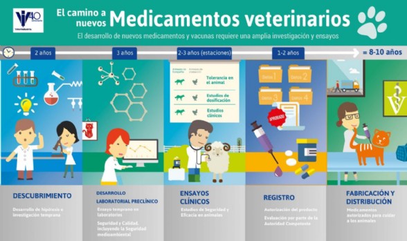 Camino a nuevos Med. Veterinarios
