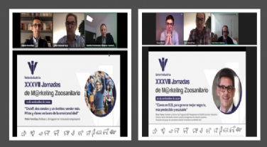 XXXVIII Jornadas de Marketing - Veterindustria