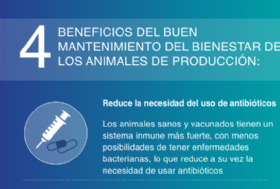 Bienestar de animales de produccin 1
