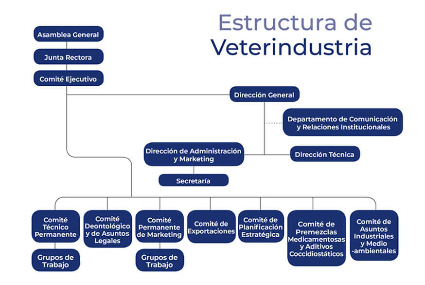 ESTRUCTURA DE VETERINDUSTRIA
