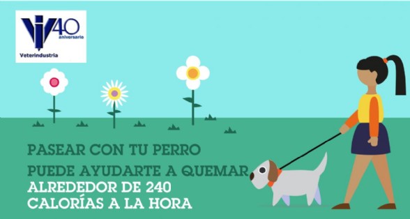 Veterindustria con las mascotas