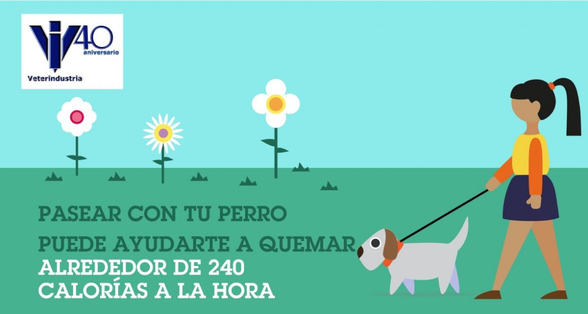 Veterindustria con mascotas