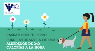 Veterindustria con las mascotas