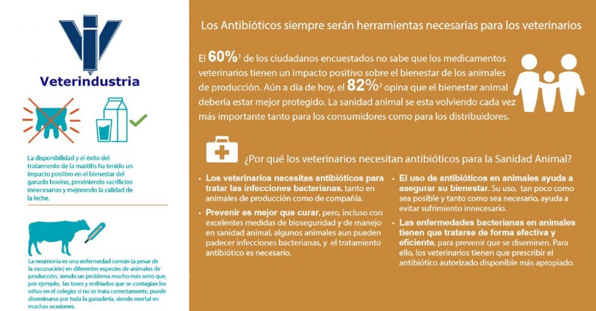 Los antibiticos herramientas para veterinarios