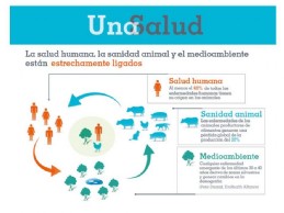 Infografa Una salud