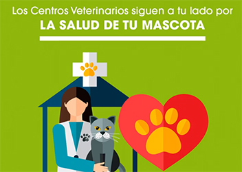 Salud mascota