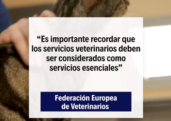 veterinarios covid19
