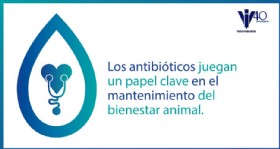 Infografia antibioticos 2