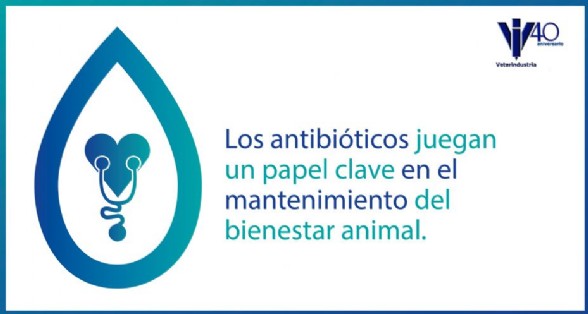 Antibiticos y bienestar animal
