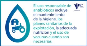Infografia antibioticos 222