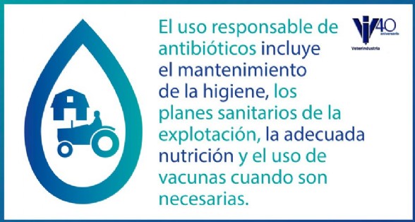 Importancia de la prevencin