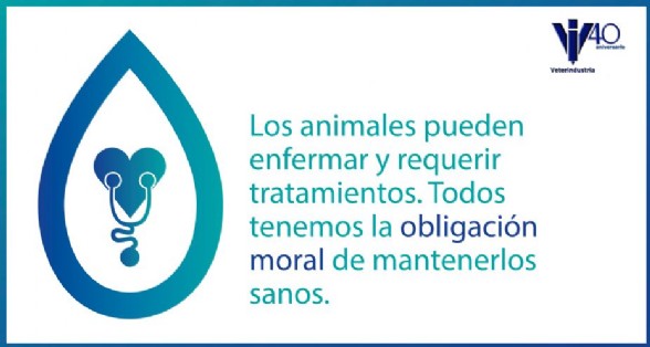 Los animales pueden necesitar tratamiento con antibiticos